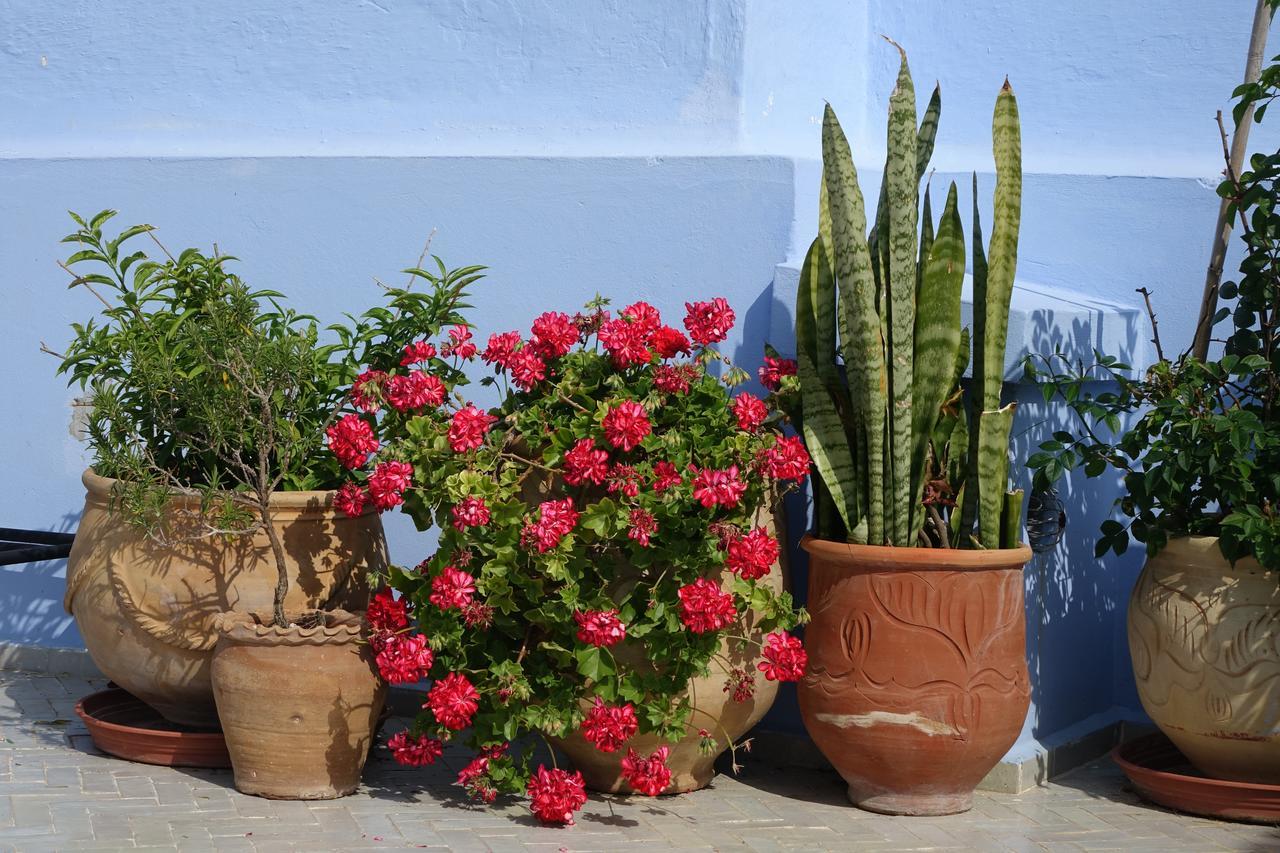 Dar Candal Asilah Exteriér fotografie